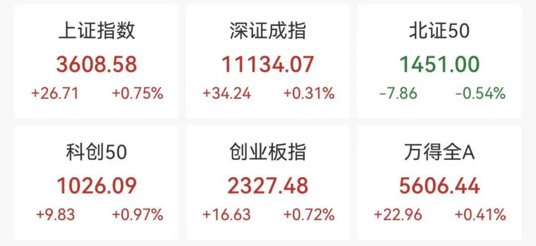 重回3600点！牛市“旗手”<strong></p>
<p>网赌虚拟币</strong>，涨停！