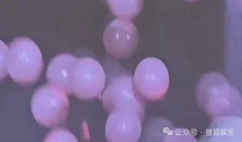 调侃“接受不了生女儿”被骂好几天<strong></p>
<p>知音虚拟币</strong>，他自曝差点因此家庭破裂......