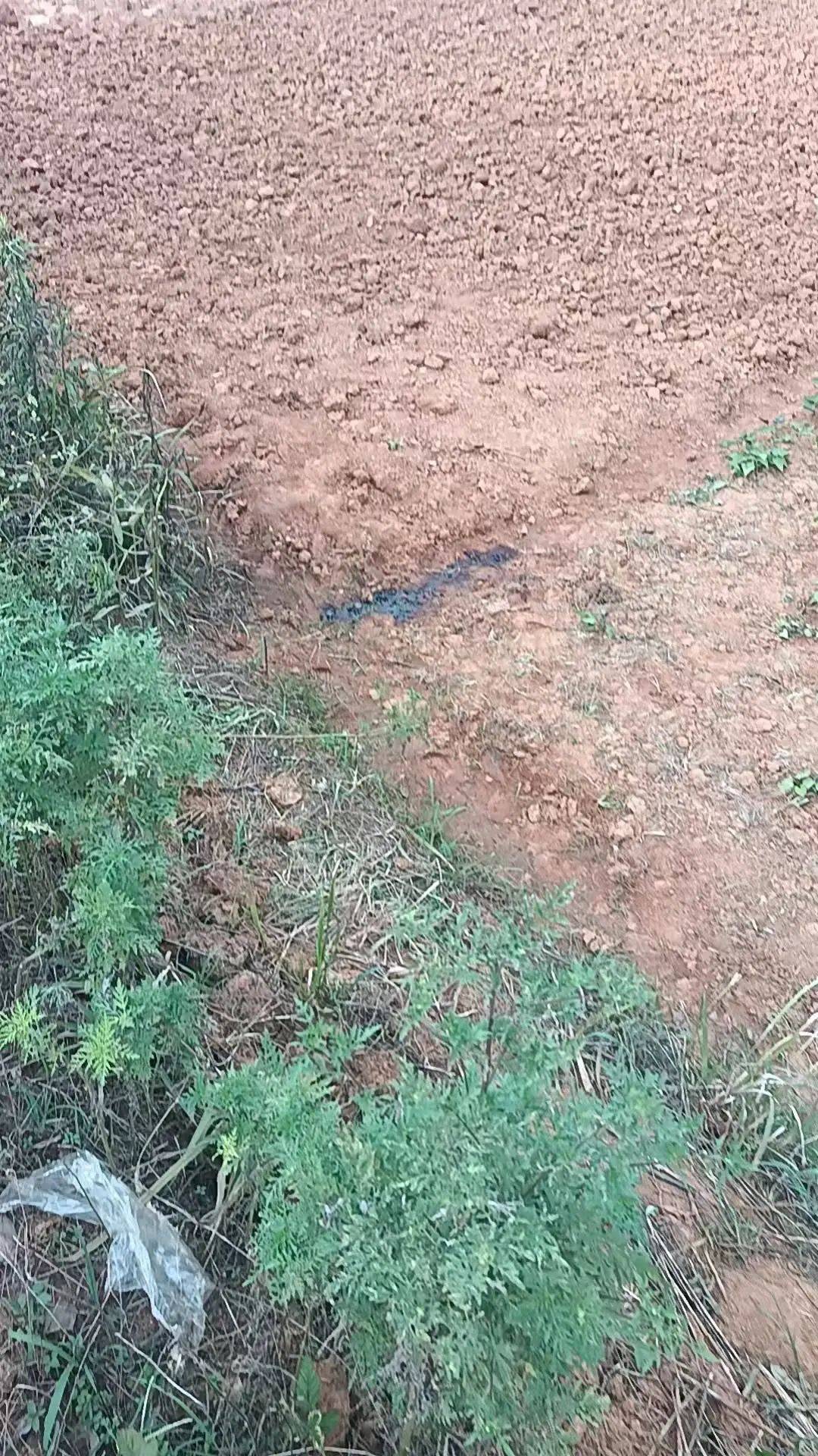 工人被误当猎物枪击身亡<strong></p>
<p>虚拟金刚币</strong>，警方通报：屈某某、罗某某被刑拘