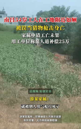 54岁农民工在工地附近如厕被气枪击杀<strong></p>
<p>虚拟金刚币</strong>，肇事者自首，用工单位愿补偿25万，家属发声