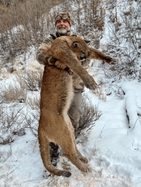 美国百万富翁在南非参加高端付费狩猎活动<strong></p>
<p>虚拟金刚币</strong>，被水牛顶死