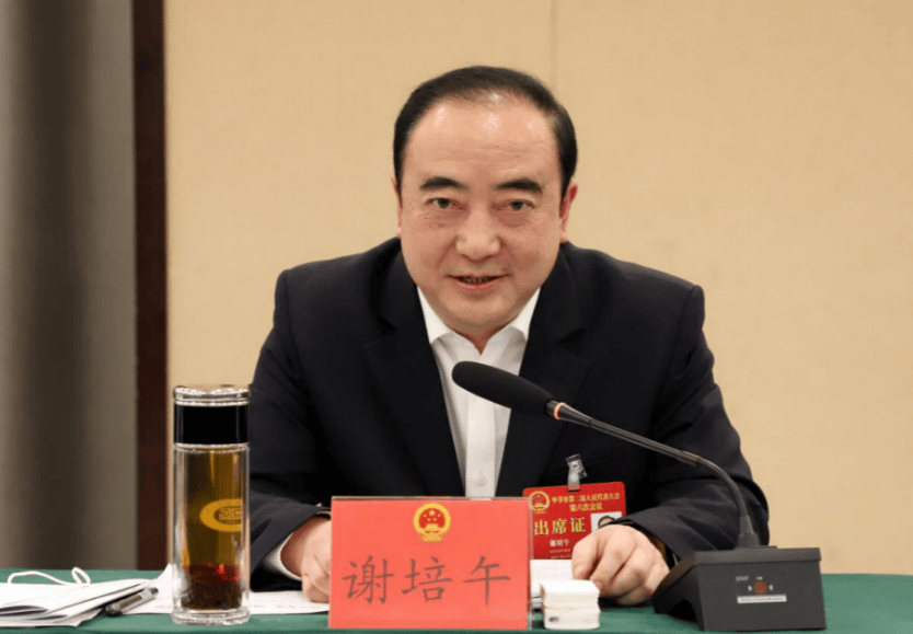 中央巡视期间<strong></p>
<p>诱导虚拟币</strong>，谢培午被查