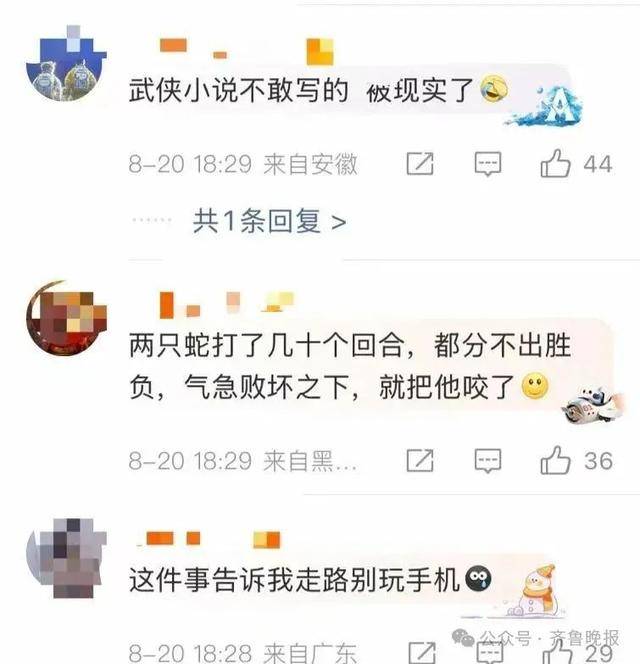 安徽宣城一男子走路玩手机<strong></p>
<p>四项虚拟币</strong>，一脚踩中打架的竹叶青和五步蛇，被俩毒蛇咬3口！医院：暂无生命危险，正在治疗