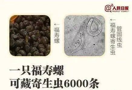 别吃！寄生虫多达6000条！浙江一地大量出现<strong></p>
<p>虚拟币路演</strong>，看到立刻上报