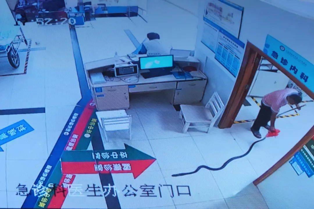 眼镜王蛇咬伤老人<strong></p>
<p>比特币换虚拟货币</strong>，家属拖两米多长的“凶手”冲进医院！“拎蛇就医”可取吗？