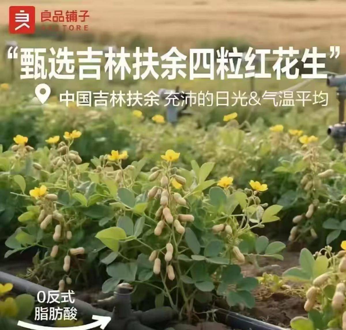 良品铺子的花生“长在树上”<strong></p>
<p>虚拟币扫码</strong>，不只是没常识