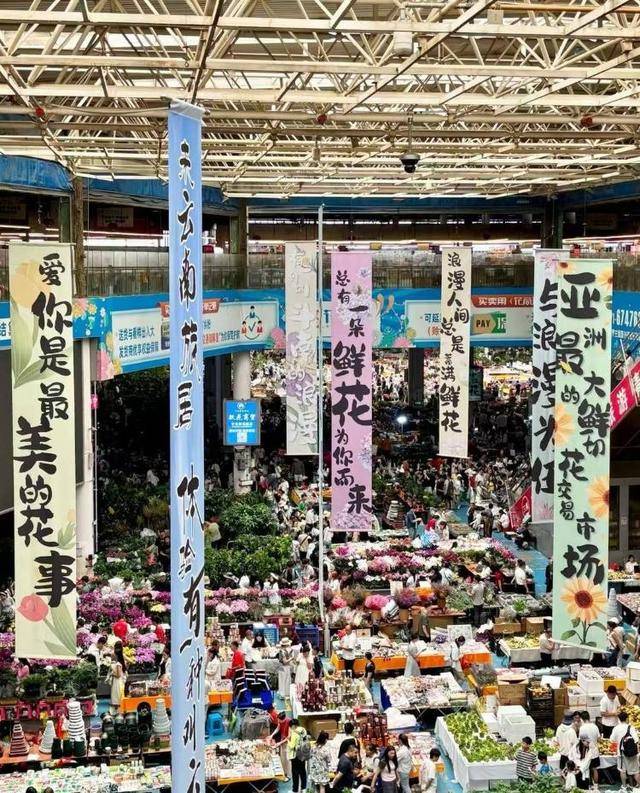 七夕不送玫瑰改送花菜<strong></p>
<p>虚拟币扫码</strong>！这一届年轻人“反套路”重新定义浪漫