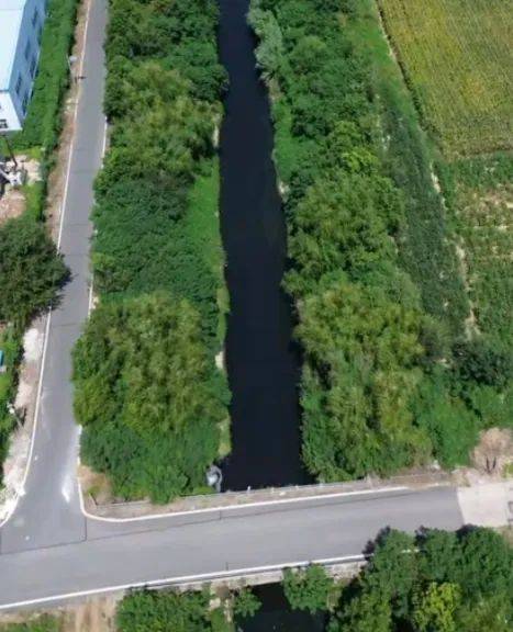 去年整改过的“黑水河”<strong></p>
<p>虚拟币扫码</strong>，今年怎么又黑了？ | 新京报快评