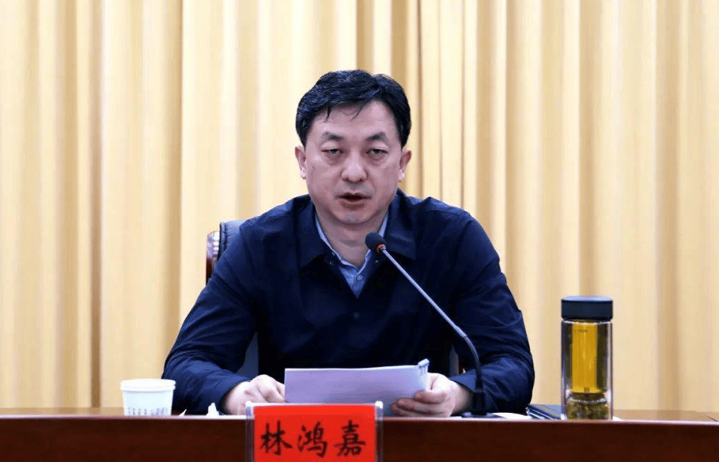 鹤壁市常务副市长林鸿嘉<strong></p>
<p>DW虚拟币</strong>，被罢免市人大代表职务