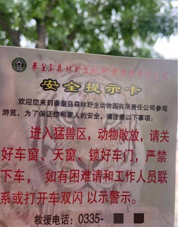 惊险！野生动物园内<strong></p>
<p>DW虚拟币</strong>，两车剐蹭，车主下车沟通老虎一旁围观