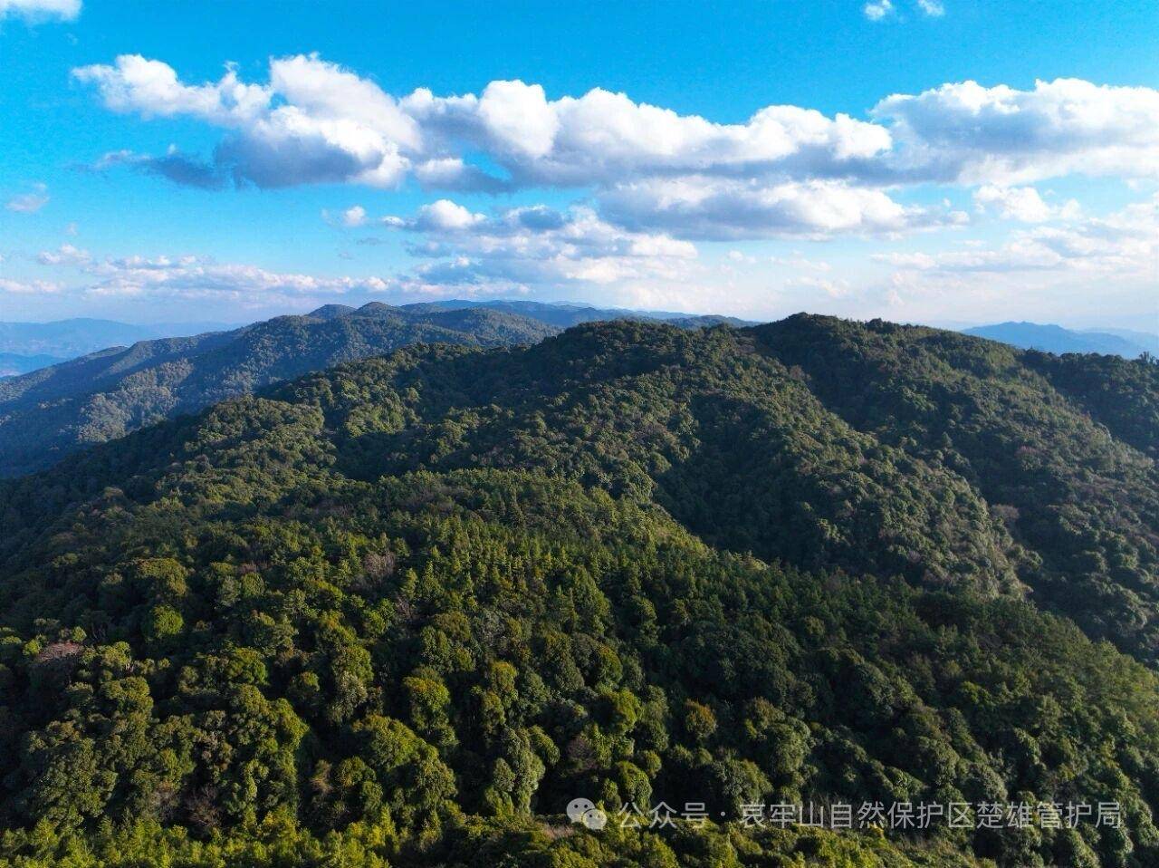 云南哀牢山新规出台：禁止任何单位和个人擅入哀牢山自然保护区<strong></p>
<p>会员虚拟币</strong>，从事科研活动须报批