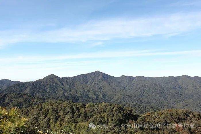 云南哀牢山新规出台：禁止任何单位和个人擅入哀牢山自然保护区<strong></p>
<p>会员虚拟币</strong>，从事科研活动须报批