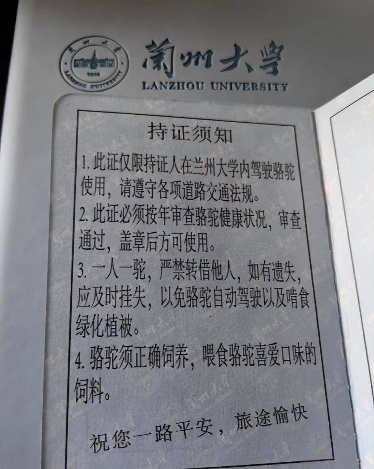 一人一驼<strong></p>
<p>会员虚拟币</strong>，骆驼尾气排放超标要扣分？兰大回应学生持证骑骆驼上学：骆驼驾驶证为学校文创，非官方证件