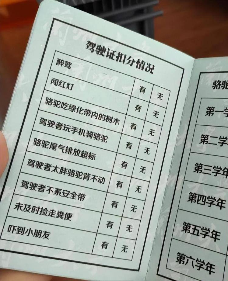 一人一驼<strong></p>
<p>会员虚拟币</strong>，骆驼尾气排放超标要扣分？兰大回应学生持证骑骆驼上学：骆驼驾驶证为学校文创，非官方证件