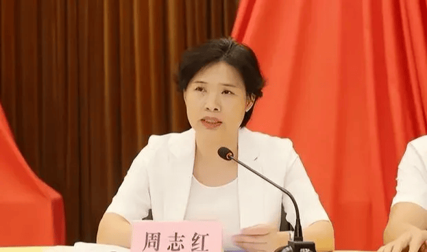 中共中央批准<strong></p>
<p>虚拟币激励</strong>，开除周志红党籍