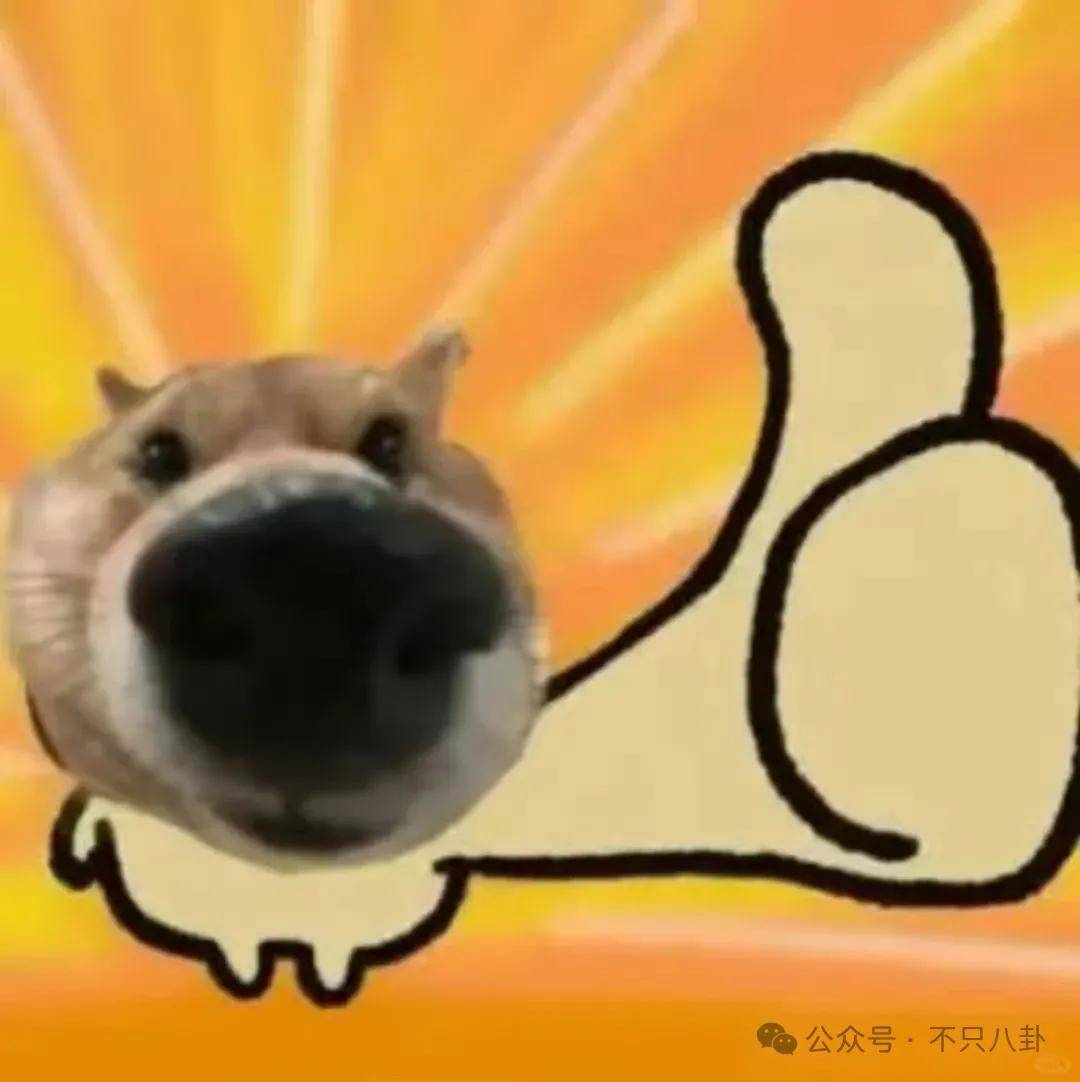 姐终于离了<strong></p>
<p>虚拟币动画</strong>，这次总算是摆脱不靠谱的老公和强势的婆婆了！