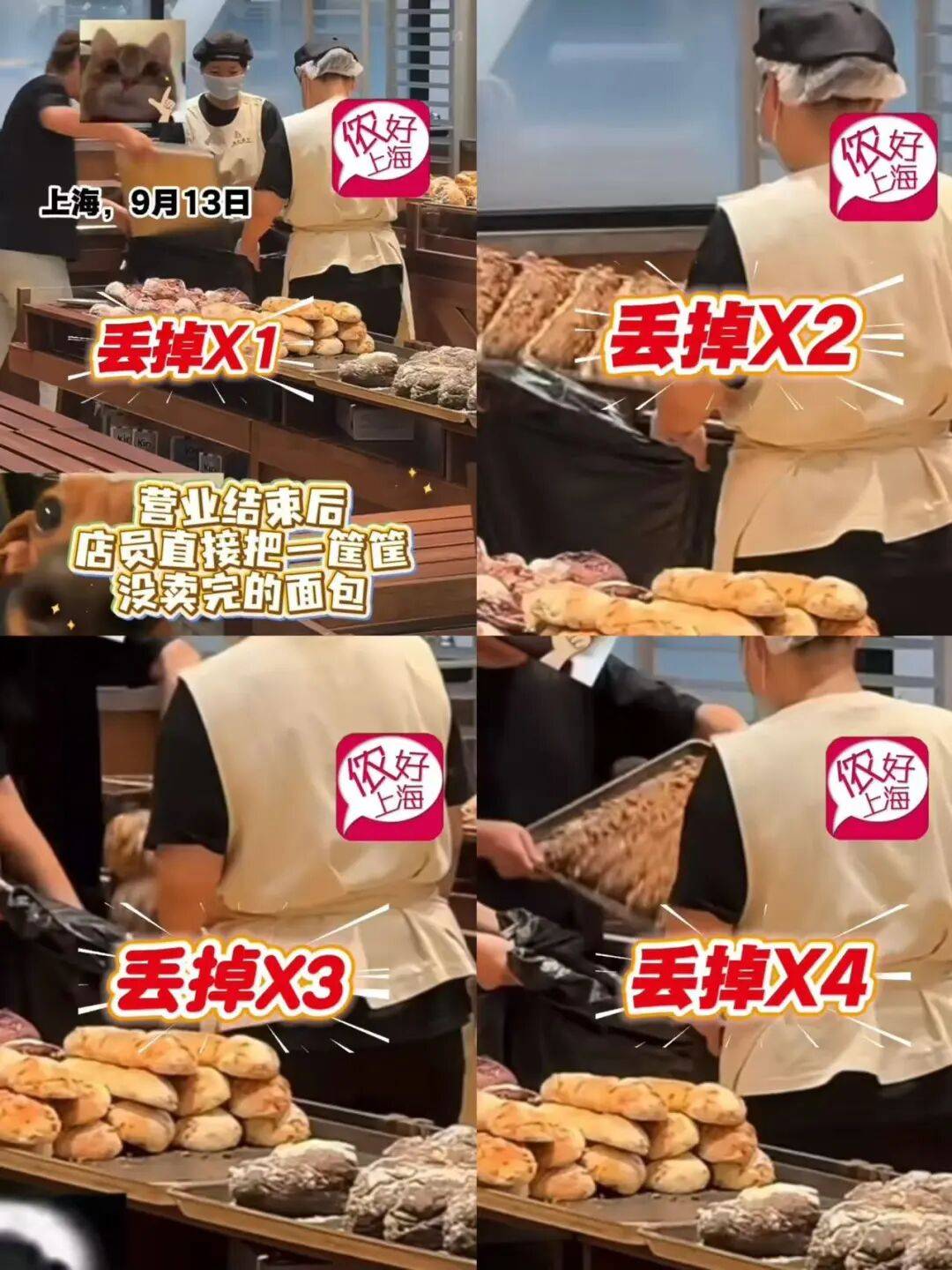 看着心疼<strong></p>
<p>虚拟币动画</strong>！上海网红店将没卖掉的面包整框扔了？网友吵翻