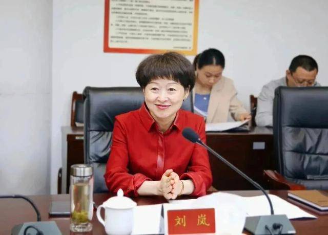 刘岚<strong></p>
<p>虚拟币动画</strong>，在处长、副市长等任上敛财数额特别巨大