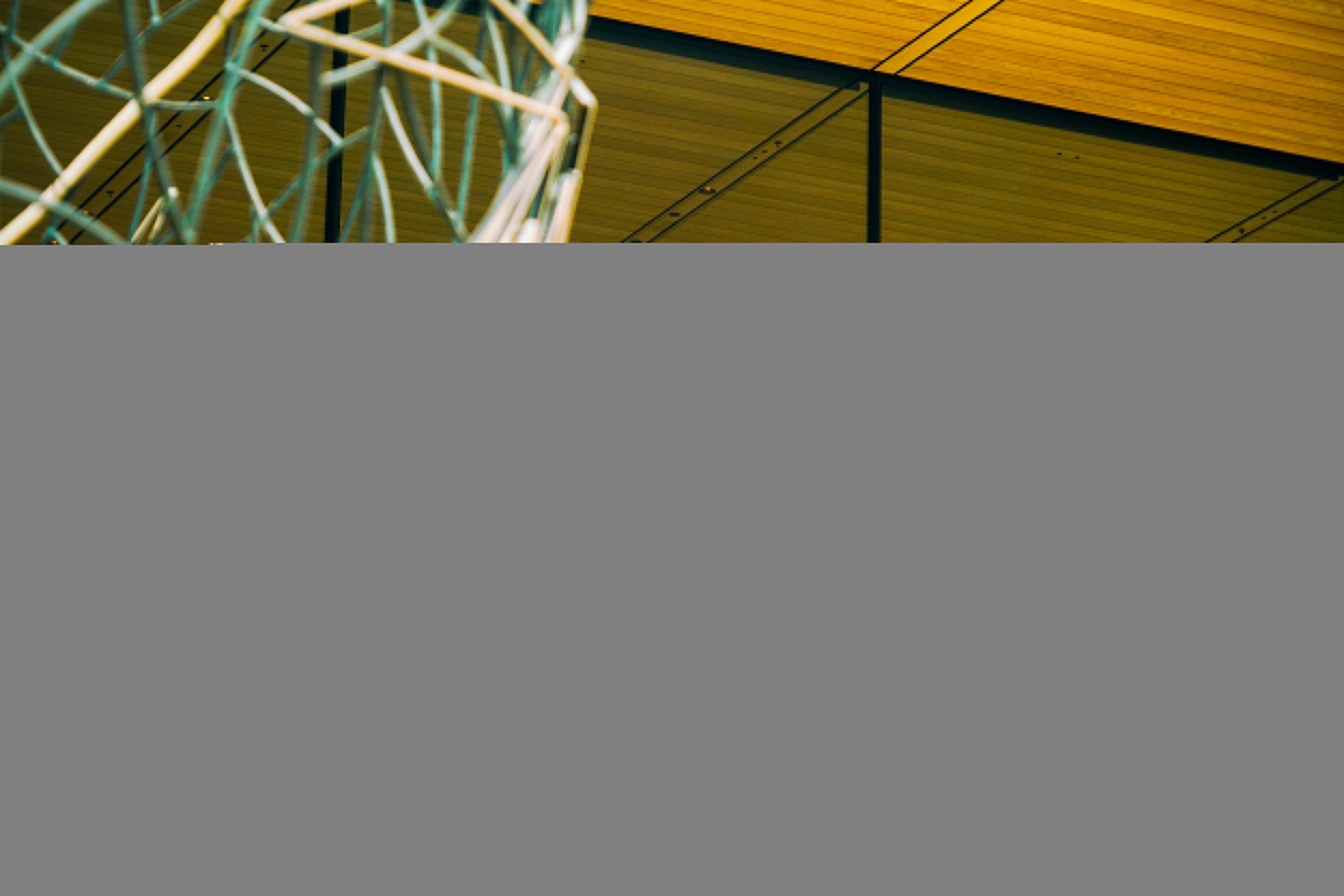 iPhone 17正式开售<strong></p>
<p>虚拟币锁金</strong>，橙色Pro Max黄牛最高加价1500元