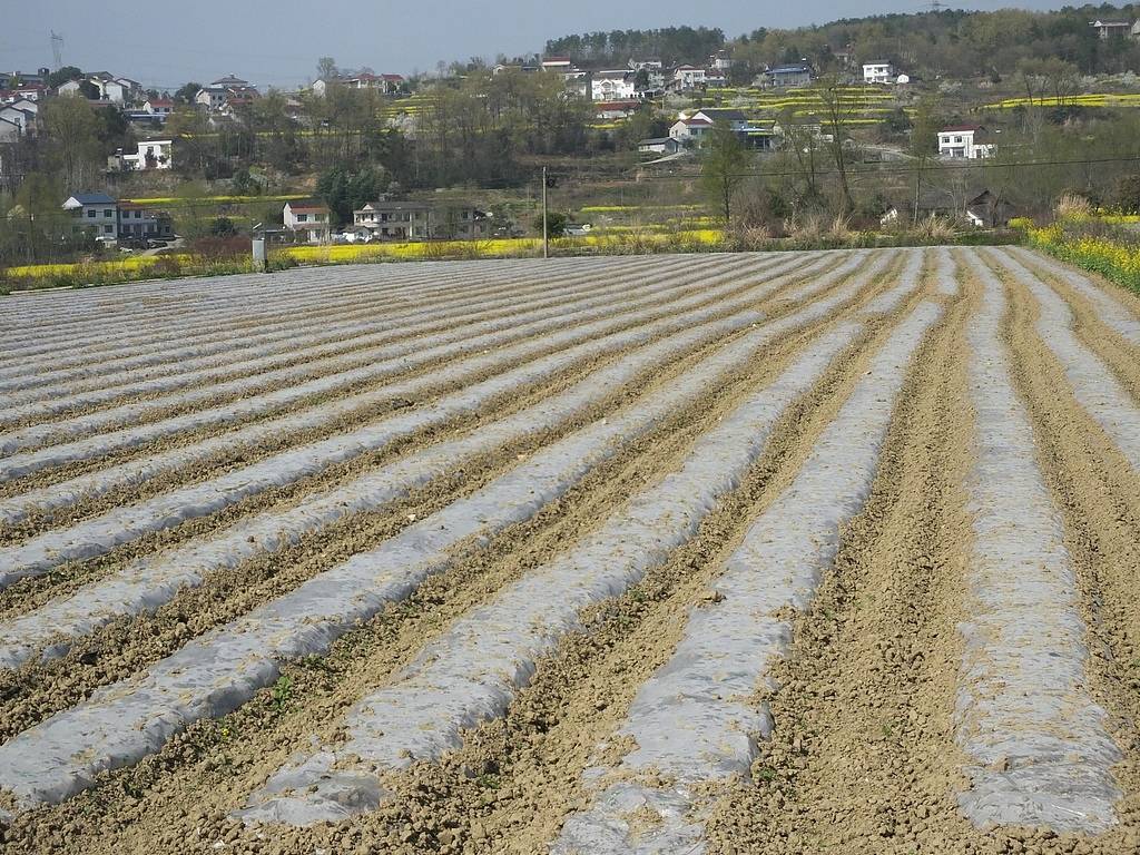 公职人员占他人耕地屡次修坟<strong></p>
<p>虚拟币锁金</strong>，得管管乡村恶霸