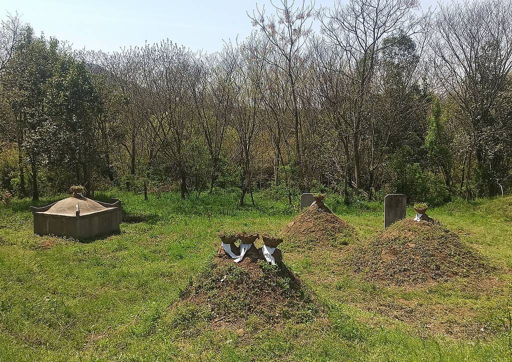 公职人员占他人耕地屡次修坟<strong></p>
<p>虚拟币锁金</strong>，得管管乡村恶霸