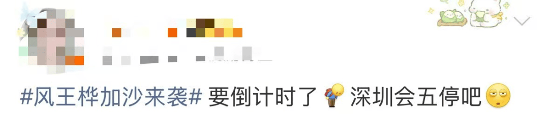 特大暴雨+17级大风!风王“桦加沙”逼近<strong></p>
<p>虚拟币贸易</strong>,深圳全市启动应急机制!是否“五停”?