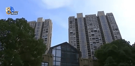 长租15年梦想一年破灭<strong></p>
<p>虚拟币贸易</strong>!女子遭遇“劝退”