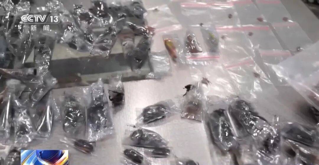 掀开衣服<strong></p>
<p>虚拟币卖钱</strong>，密密麻麻！200多只活虫惊现深圳机场……