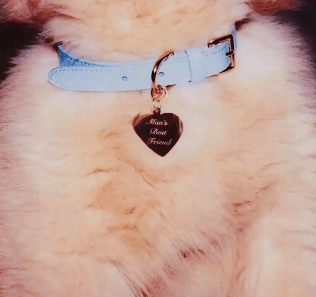 格莱美天后一年两登VOGUE封面<strong></p>
<p>虚拟币钛币</strong>，却因“取悦男人”遭质疑？