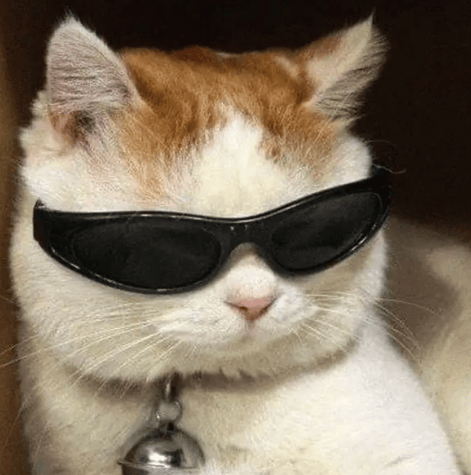 “不亚于春节回家”!凌晨5点<strong></p>
<p>3Q虚拟币</strong>,深圳有人已经堵在路上……