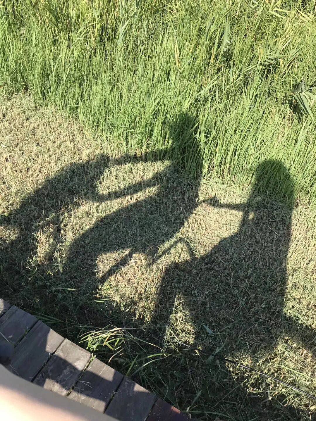 纸质火车票退场<strong></p>
<p>3Q虚拟币</strong>,每道折痕里都藏着远方、爱情与山河记忆