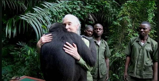 “课本上的传奇”<strong></p>
<p>虚拟币流量</strong>，走了