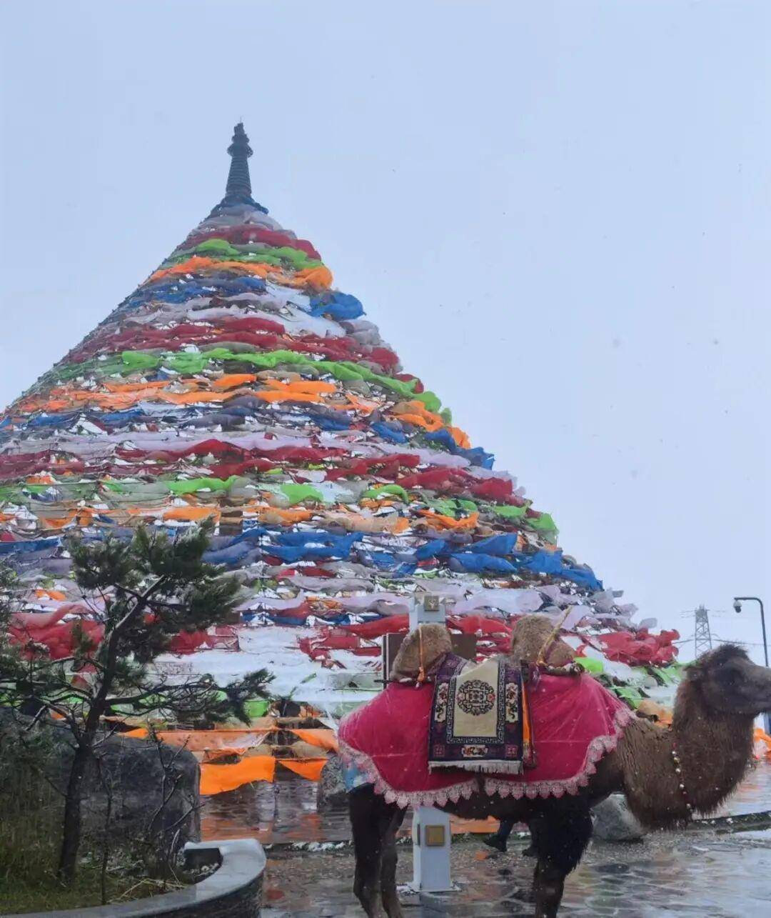 多地突降大雪<strong></p>
<p>虚拟币流量</strong>!