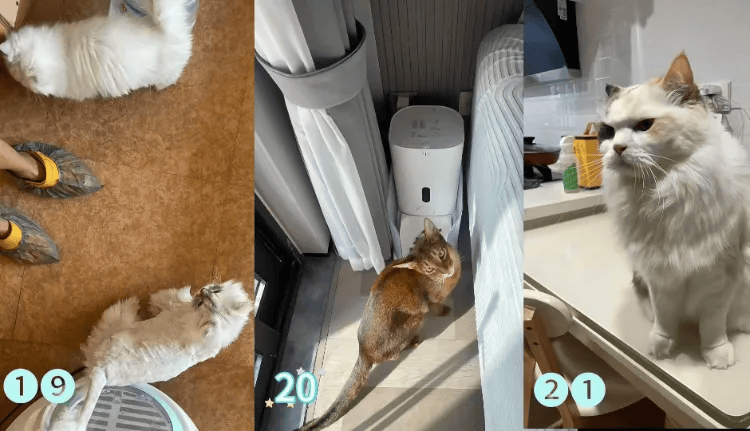 这个需求激增!一男子连接270单<strong></p>
<p>MM虚拟币</strong>,其中一笔收费8100元