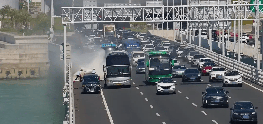 粤B·97821D、粤Z·AG85澳、粤T·91736<strong></p>
<p>MM虚拟币</strong>,你们被拍下来了!