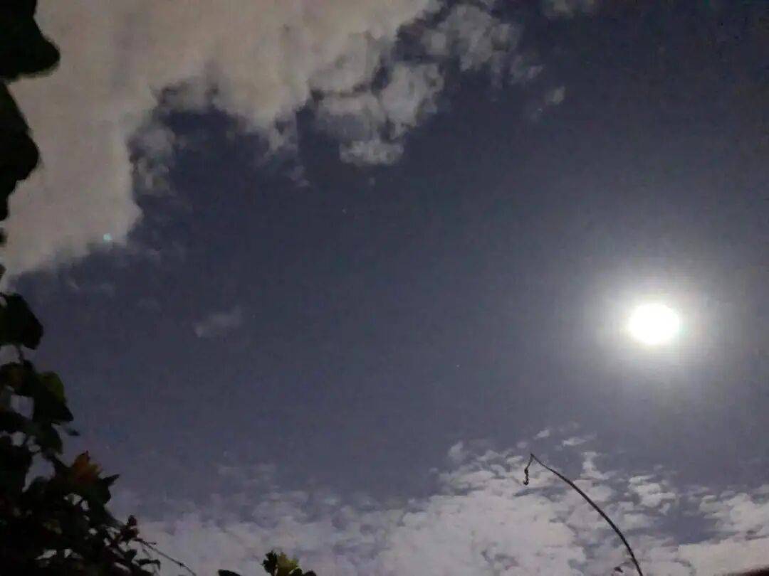 没有什么能阻挡！今天<strong></p>
<p>MM虚拟币</strong>，广西人就是要回家！