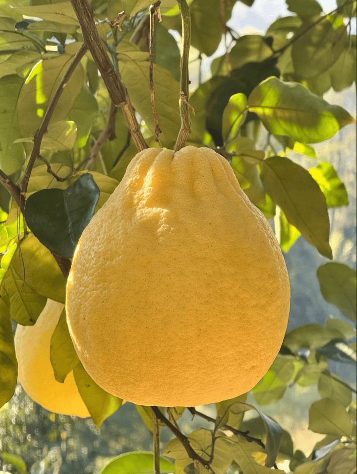 没有什么能阻挡！今天<strong></p>
<p>MM虚拟币</strong>，广西人就是要回家！