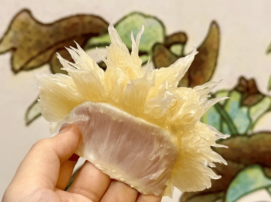 没有什么能阻挡！今天<strong></p>
<p>MM虚拟币</strong>，广西人就是要回家！