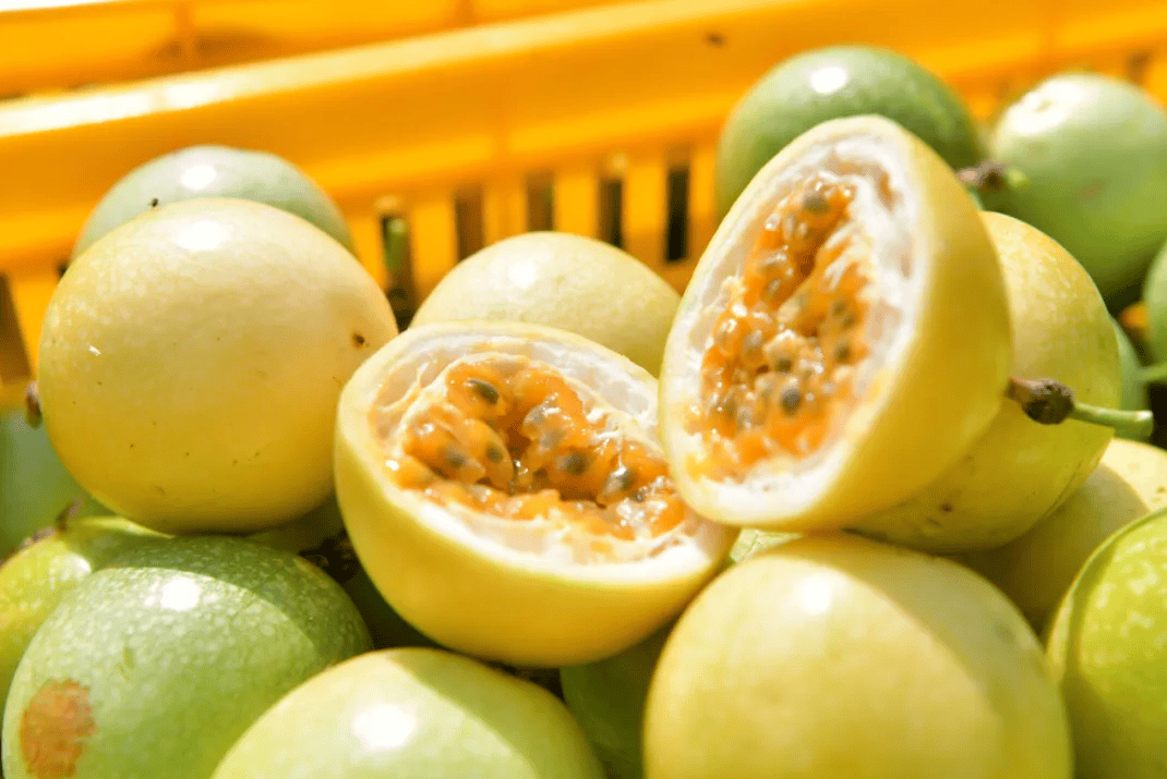 没有什么能阻挡！今天<strong></p>
<p>MM虚拟币</strong>，广西人就是要回家！