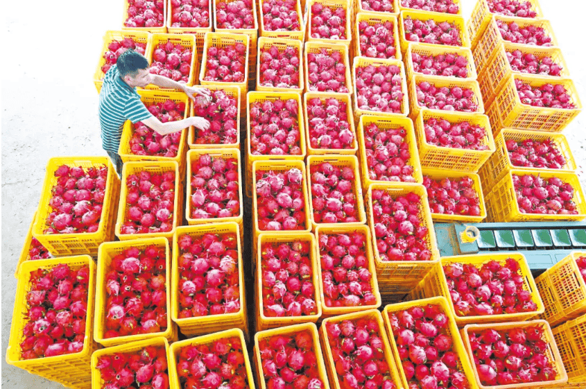 没有什么能阻挡！今天<strong></p>
<p>MM虚拟币</strong>，广西人就是要回家！