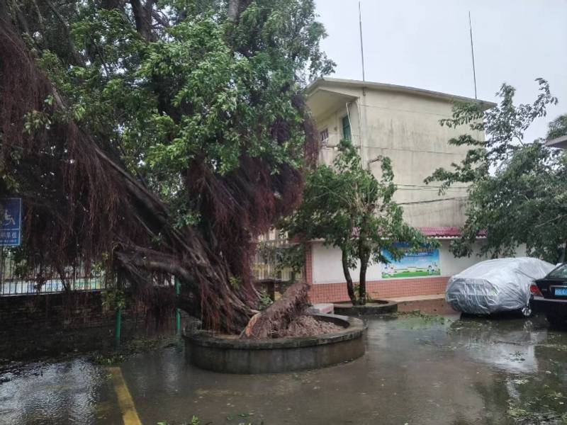 台风“麦德姆”今晚将移出广东！中秋节夜间全省大部可见月光
