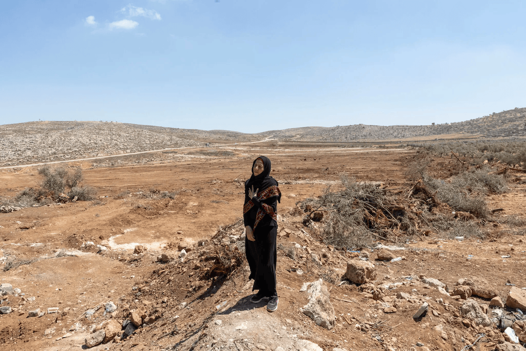 加沙战争两周年：分裂的以色列<strong></p>
<p>虚拟币取缔</strong>，无力的巴勒斯坦