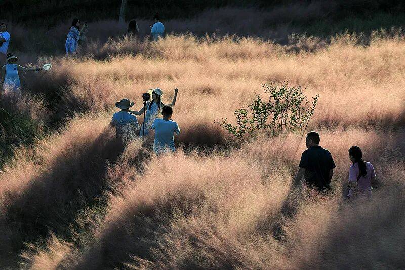 打卡拍照<strong></p>
<p>虚拟币取缔</strong>,再美也不能用生命对焦