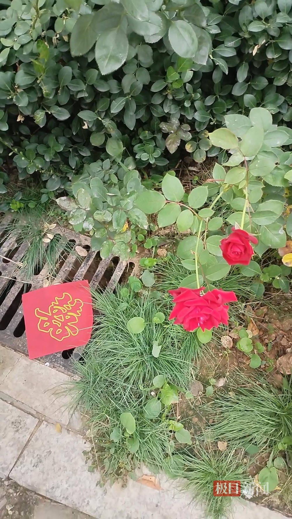 山西婚礼要在下水道井盖贴“喜”字?有的井盖被贴了8张<strong></p>
<p>虚拟币取缔</strong>,当地居民:寓意不踩坑、驱晦迎喜