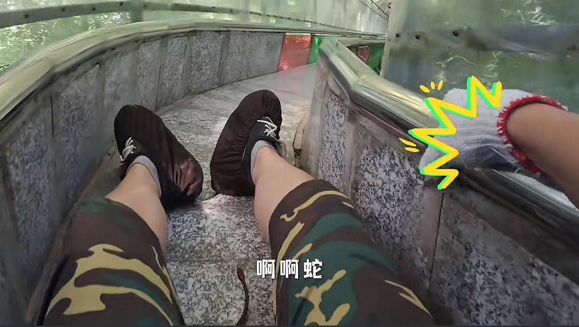 游客称在广西丹炉山滑道遇蛇<strong></p>
<p>有哪些数字货币</strong>,景区致歉:这么多年就这一次,每年都做防蛇处理