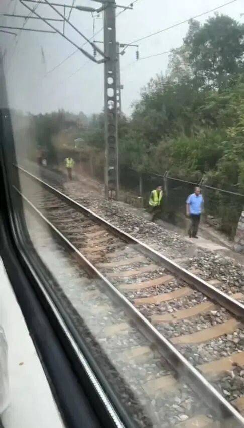 湖北一列车撞上野猪致停运<strong></p>
<p>数字货币有哪些</strong>，铁路局：野猪已无害化处理，列车正常运行；附近曾发生多起野猪伤人事件