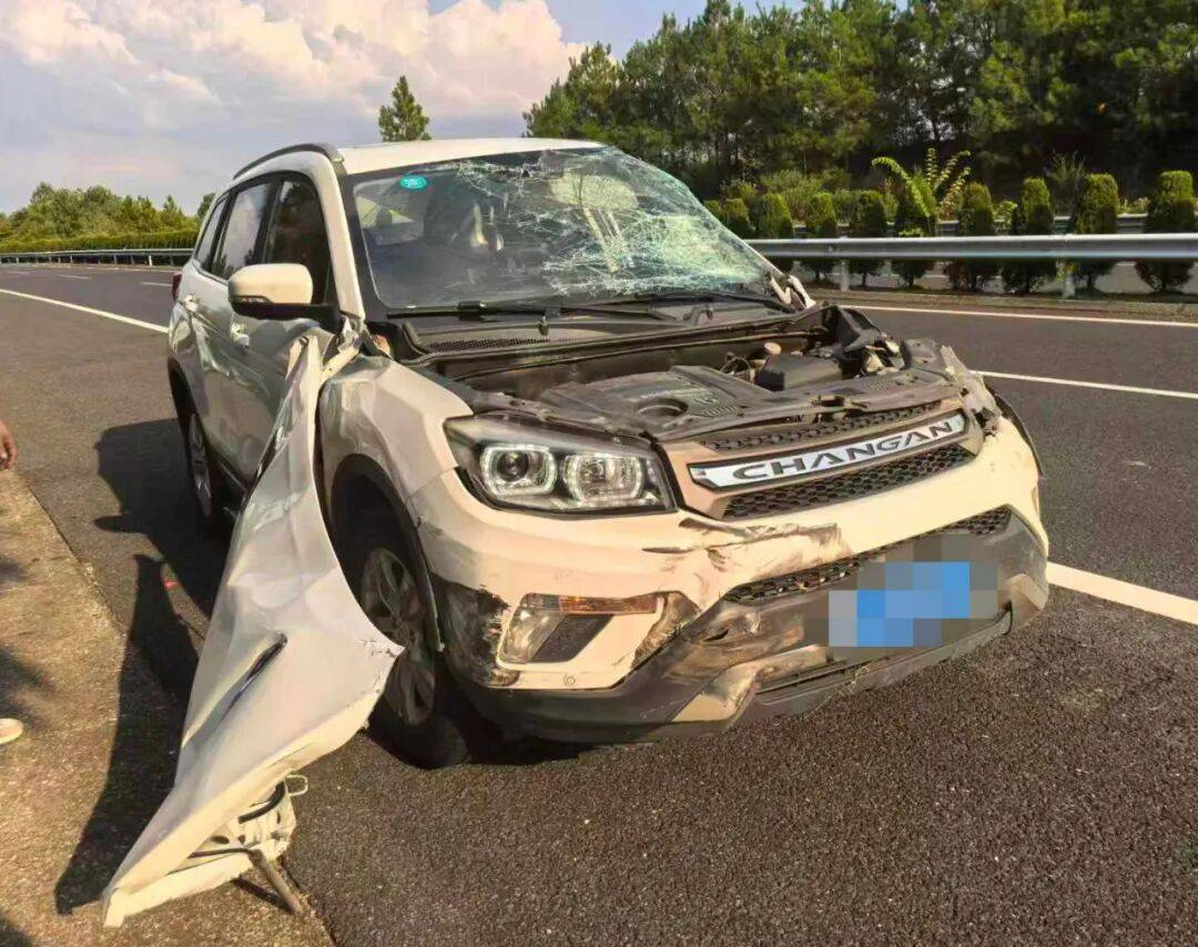 “我撒谎天打雷劈！”男子高速突然强行变道致翻车<strong></p>
<p>数字货币有哪些</strong>，反诬赖对方