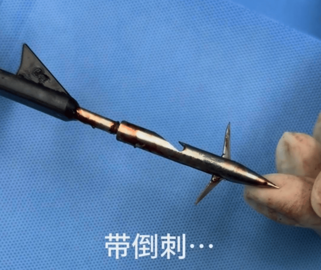 教育局回应“一教师用弓箭射杀小狗”:不实<strong></p>
<p>数字货币有哪些</strong>,小狗进学校前就被射伤