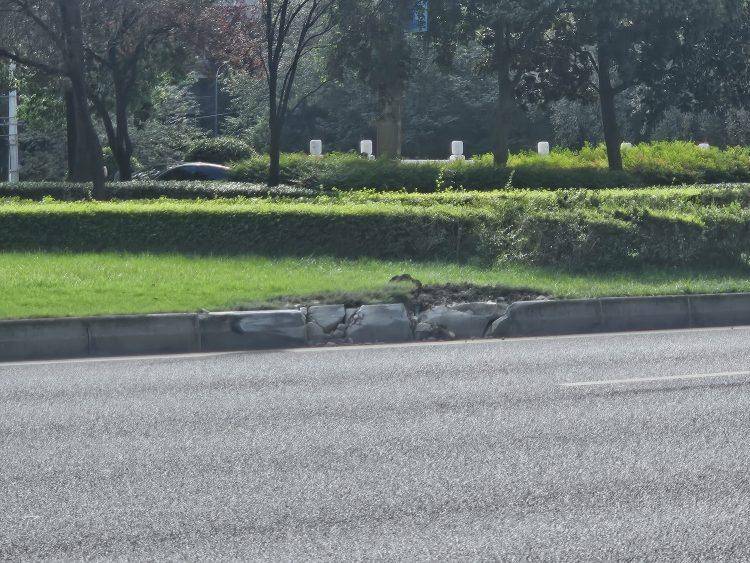 成都发生一起严重交通事故<strong></p>
<p>数字货币套利</strong>，上游新闻实地探访：燃烧留下的印记仍在