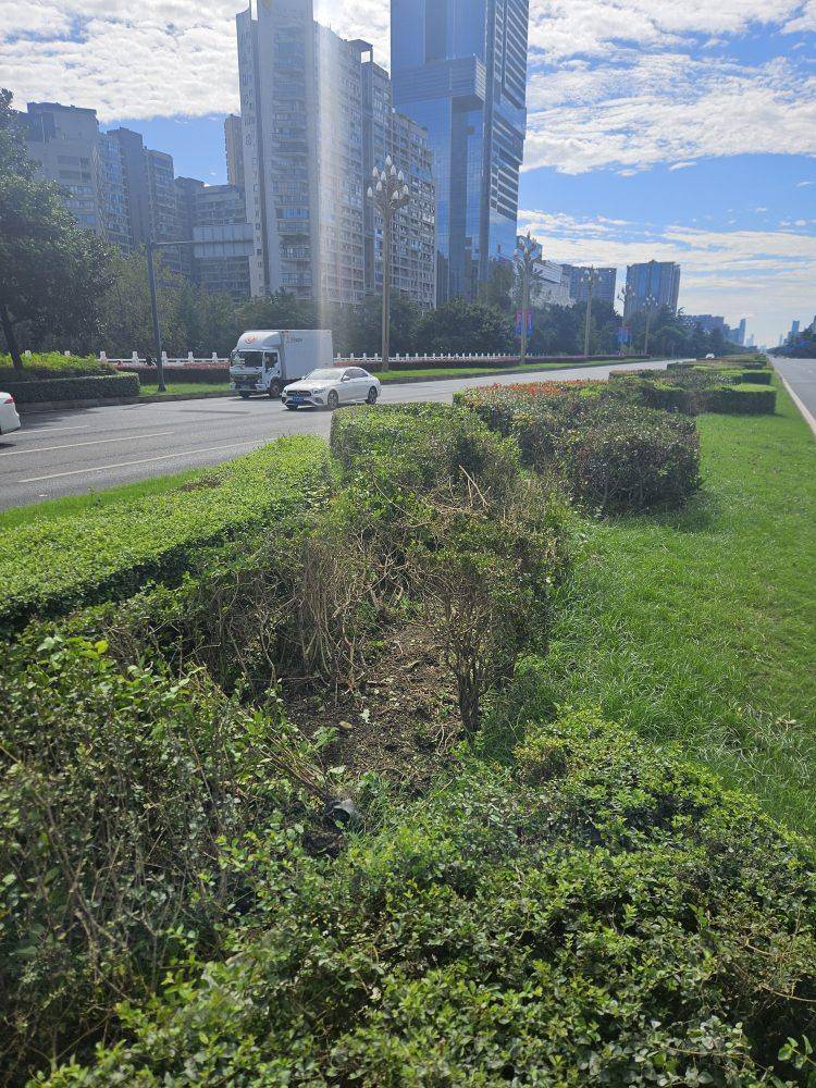 成都发生一起严重交通事故<strong></p>
<p>数字货币套利</strong>，上游新闻实地探访：燃烧留下的印记仍在